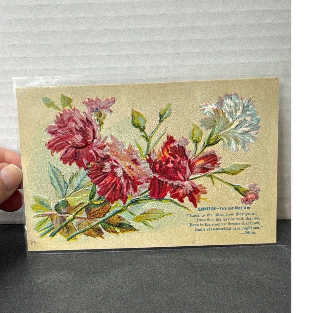 Antique Embossed Carnation Flower Postcard Red White Floral Verse Vancouver WA